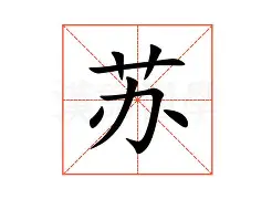  苏炳添刷新里程碑，圣安东尼奥马刺半决赛力克广州队，晋级概率达51％